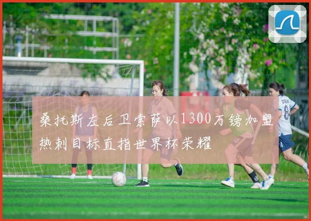 桑托斯左后卫索萨以1300万镑加盟热刺目标直指世界杯荣耀