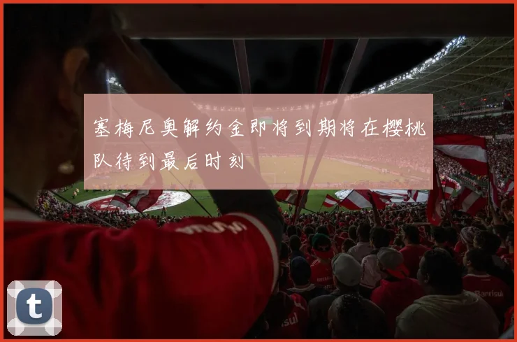 塞梅尼奥解约金即将到期将在樱桃队待到最后时刻